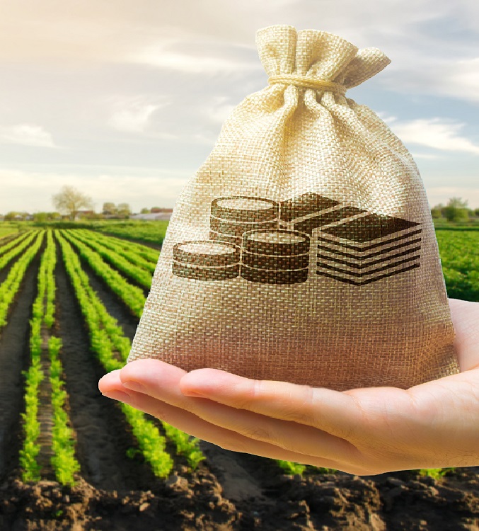 Farmer holding money bag image